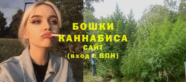 шишки Алексеевка