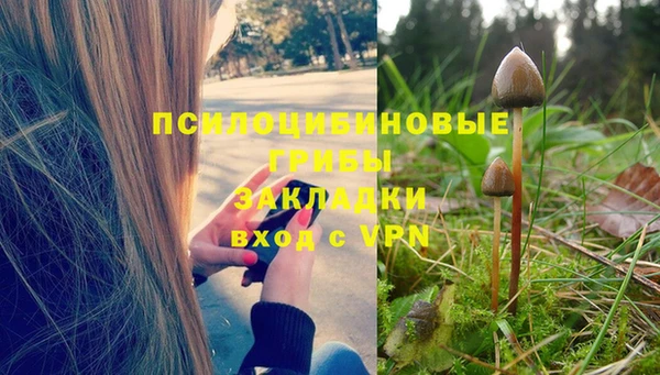 шишки Алексеевка