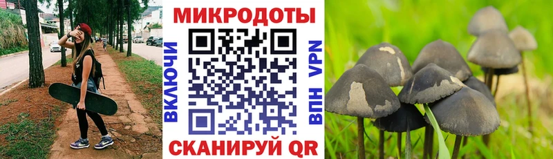 где продают   Нововоронеж  Галлюциногенные грибы прущие грибы 