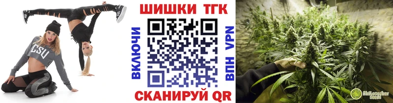 где купить наркоту  Нововоронеж  Марихуана ГИДРОПОН 
